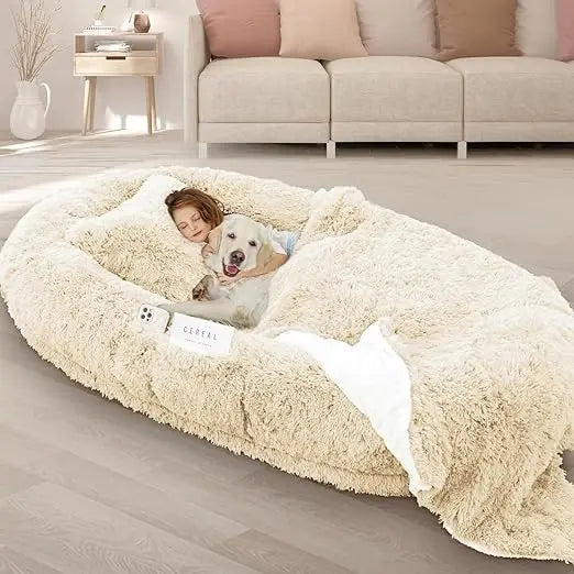Memory Foam Dog Bed With Pillow And Strap