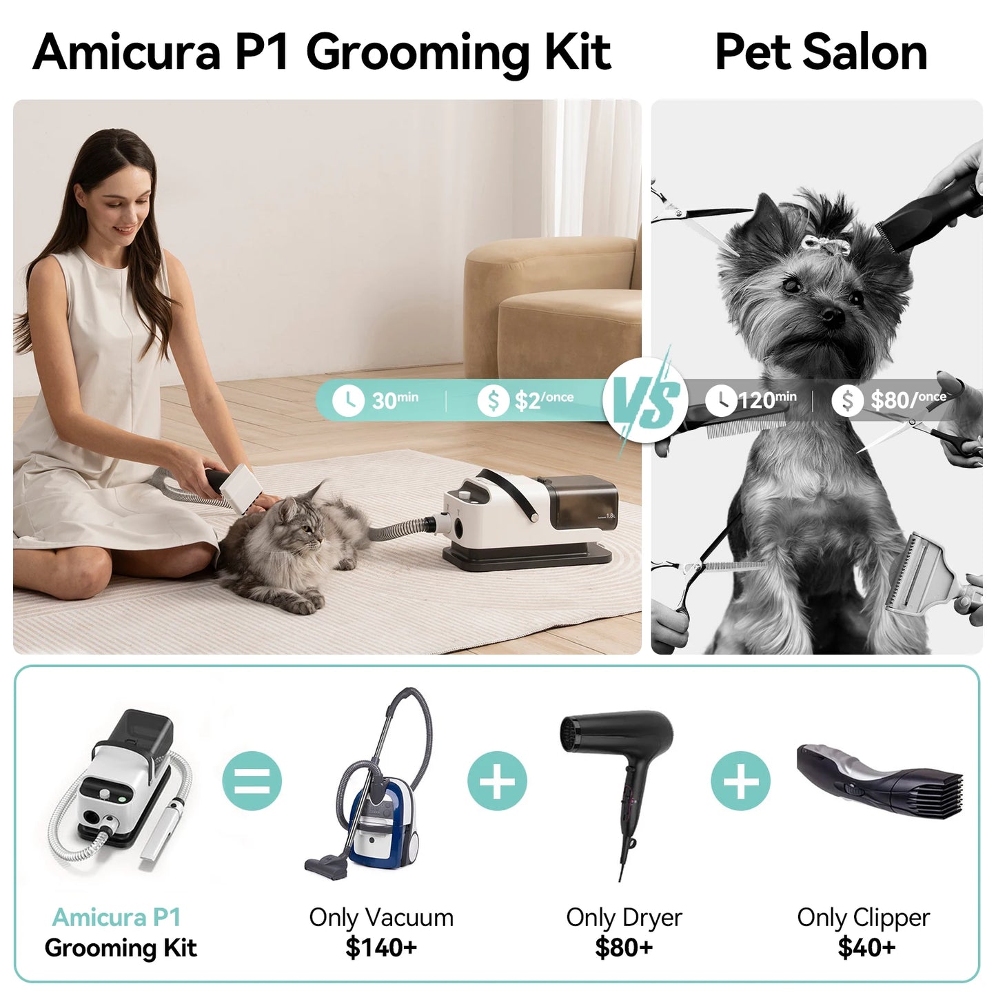 P1 Vacuum Cleaner And Hair Dryer For Pet Grooming