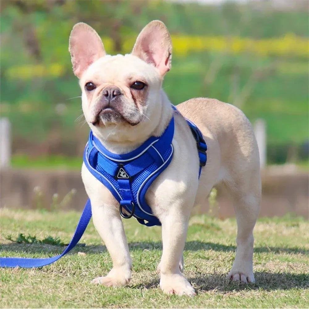 NONECN No Pull Dog Harness and Leash Set Reflective Adjustable