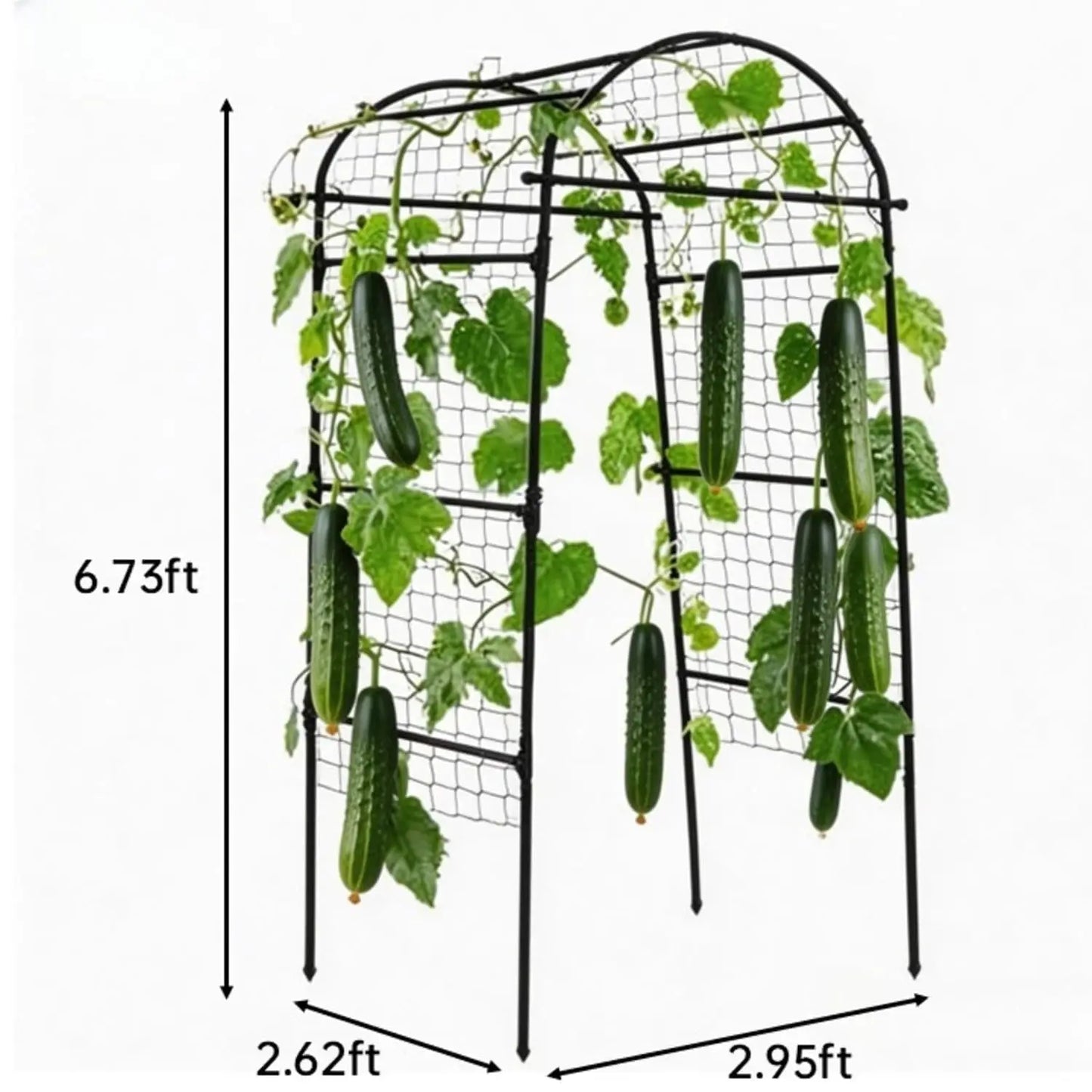 HiMISS Garden Arch Trellis Heavy Duty Plant Support