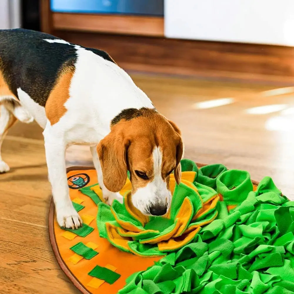 Snule Nosework Mat For Dogs And Cats Interactive Feeding Puzzle Toy