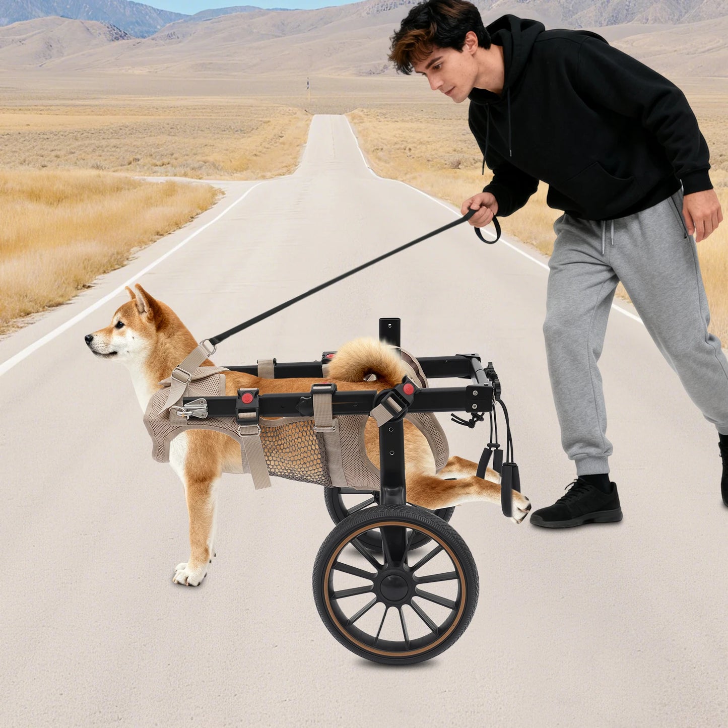 Bymaocar Adjustable Aluminum Dog Wheelchair For Hind Leg Support