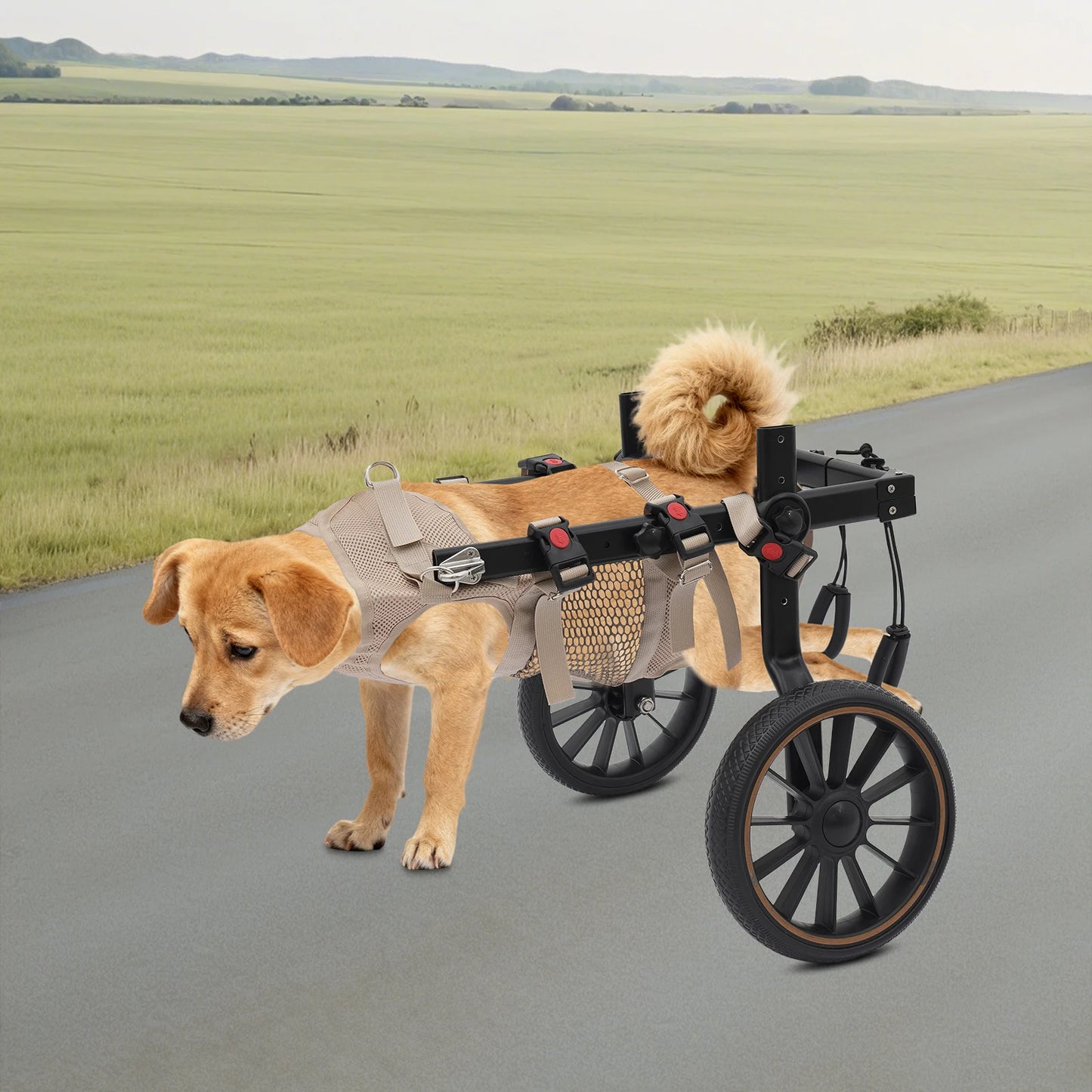 Bymaocar Adjustable Aluminum Dog Wheelchair For Hind Leg Support