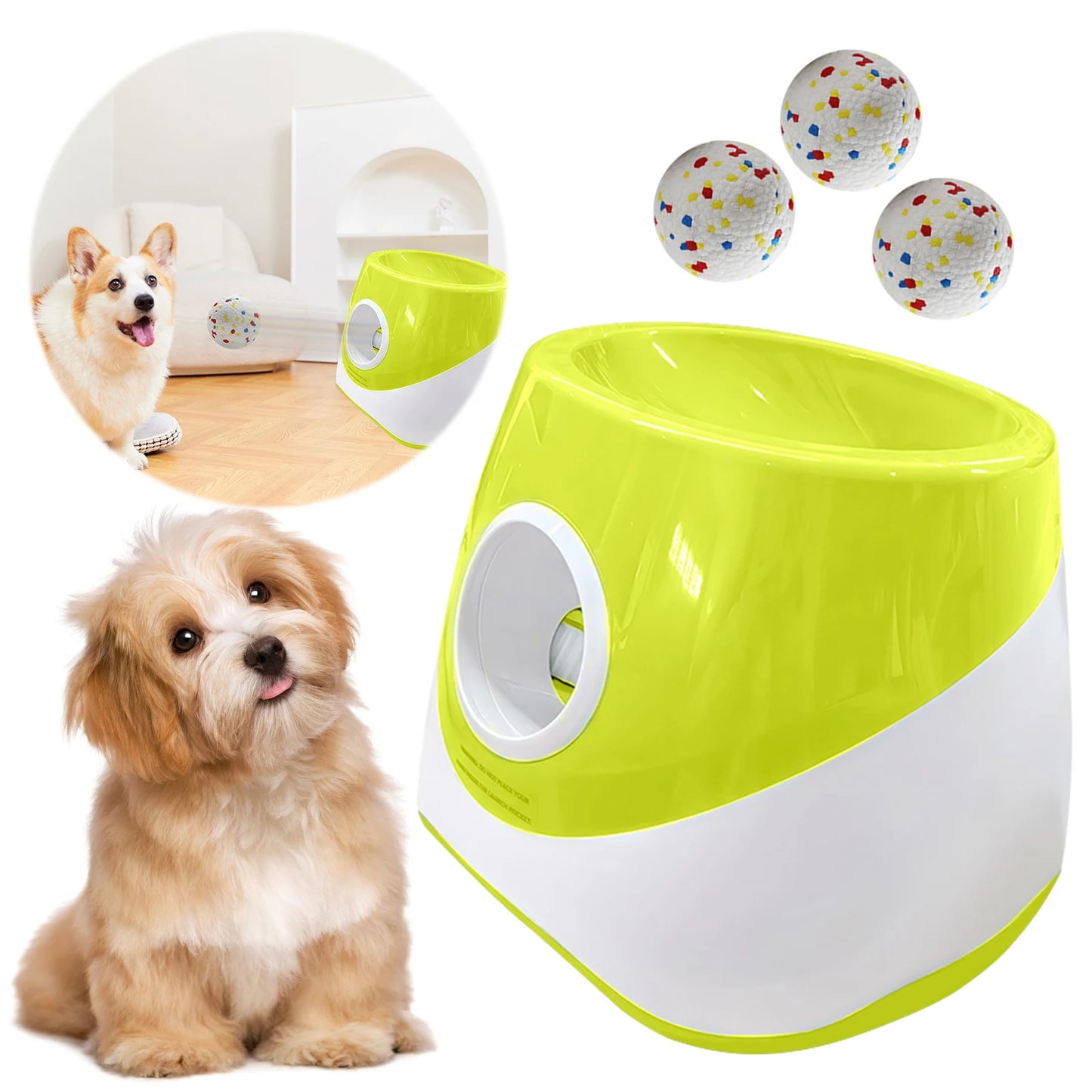 Automatic Ball Launcher For Small Breeds With 3 Tennis Balls