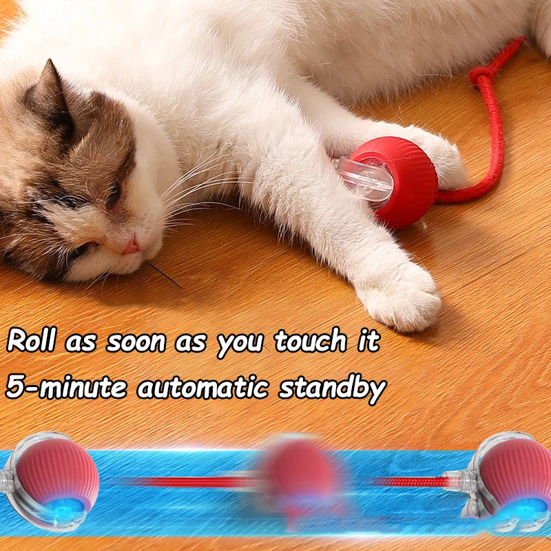 Cat Interactive Ball Toy Auto Rolling Faux Tail Rechargeable Smart