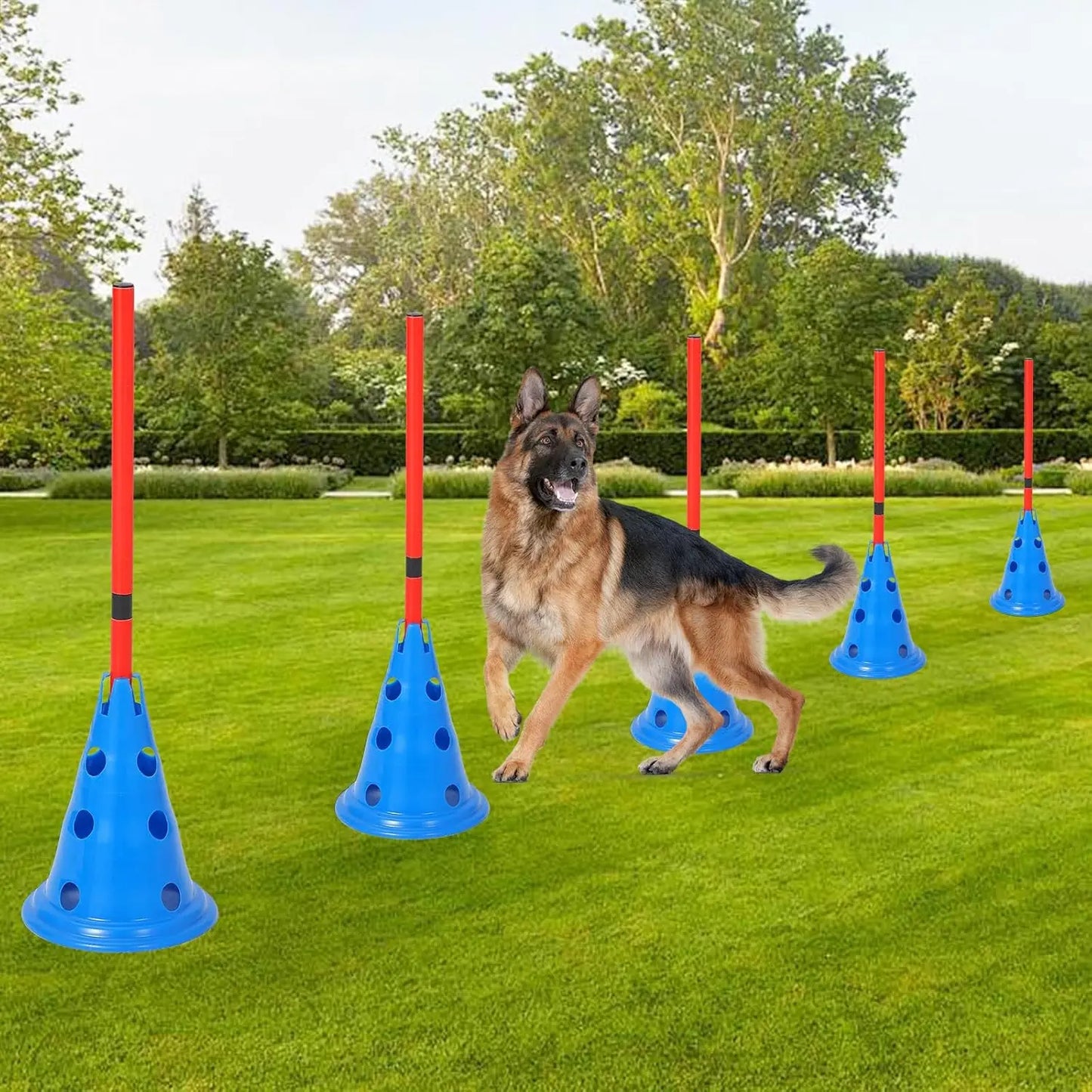 HiMISS Dog Agility Hurdle Cone Set With Cones And Rods