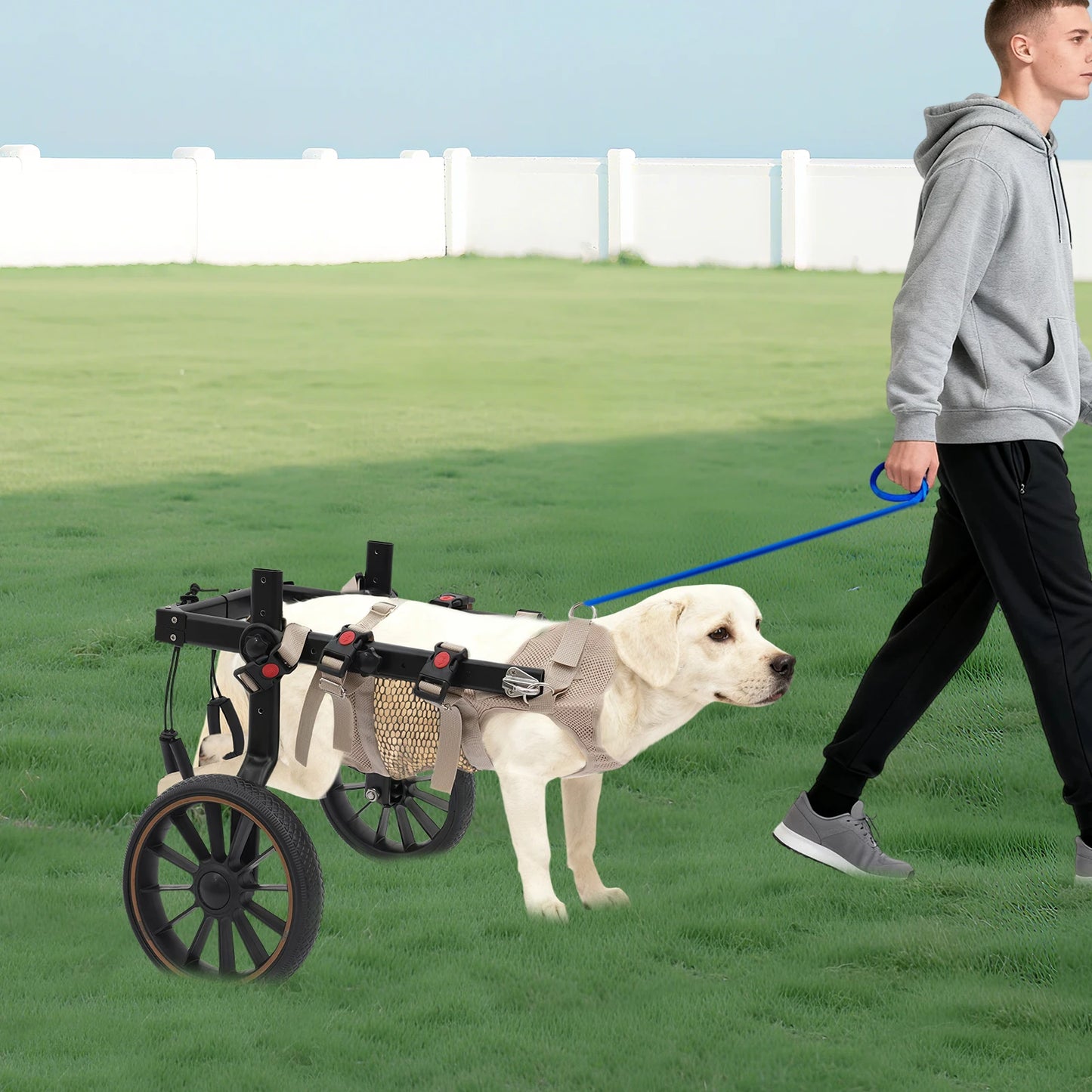 Bymaocar Adjustable Aluminum Dog Wheelchair For Hind Leg Support