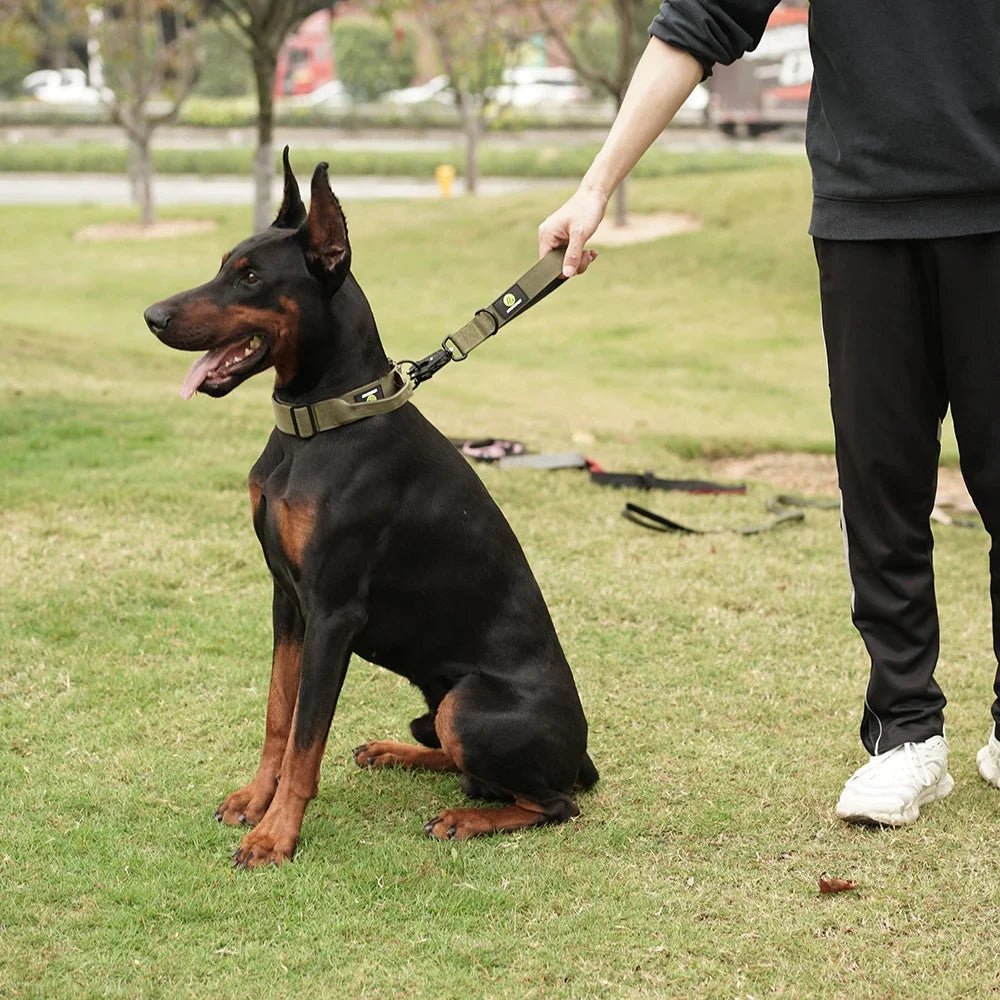 Short Traffic Dog Leash With Padded Handle And Reflective Nylon