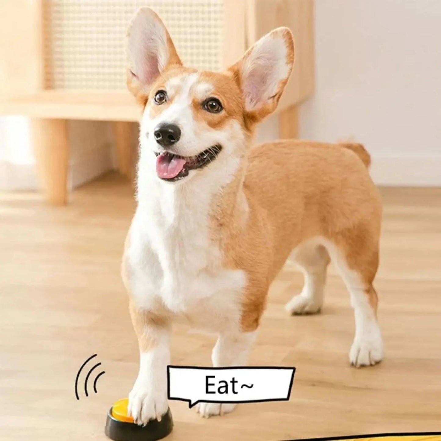 Dog Communication Buttons Voice Recording Button For Pet Training