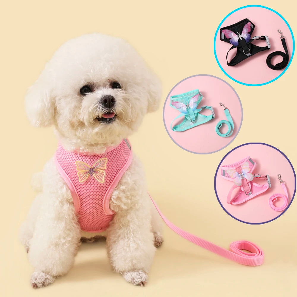 NONECN Breathable Cat Harness Set Butterfly Leash Bundle