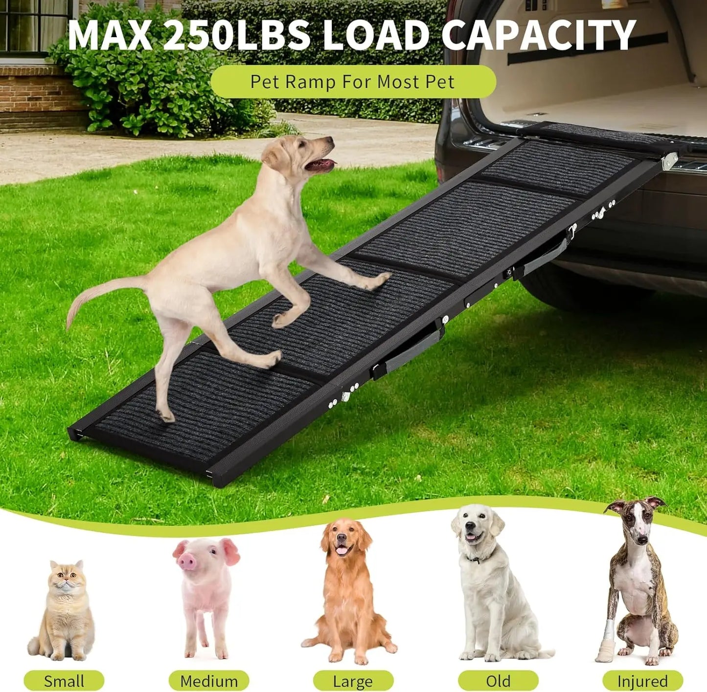 TWISTER.CK Dog Ramp For Cars Quad Fold Non Slip Portable