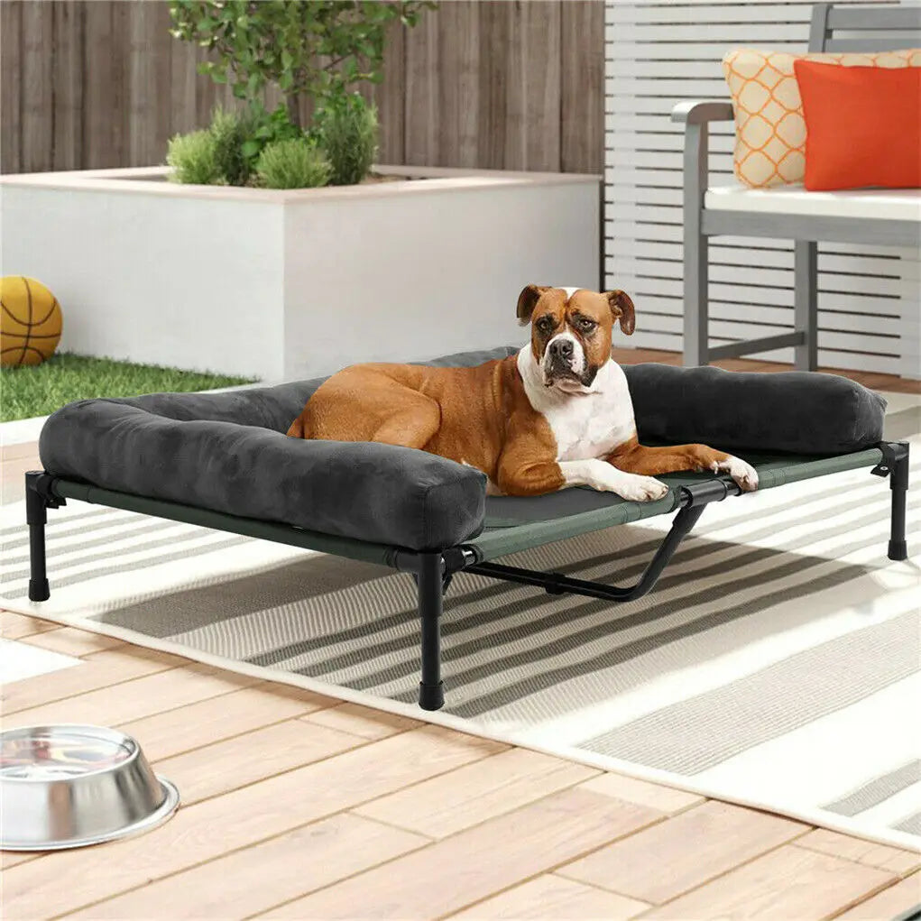 BINGOPAW Elevated Dog Bed Indoor Outdoor With Detachable Bolster