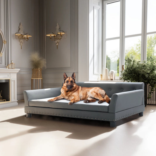 BINGOPAW Elevated Rectangle Dog Bed Durable Sofa For Dogs