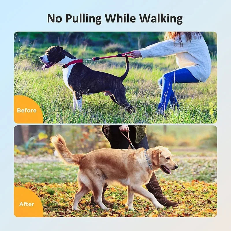 Pinch Dog Training Collar With Comfort Rubber Tips, Adjustable Stainless Steel