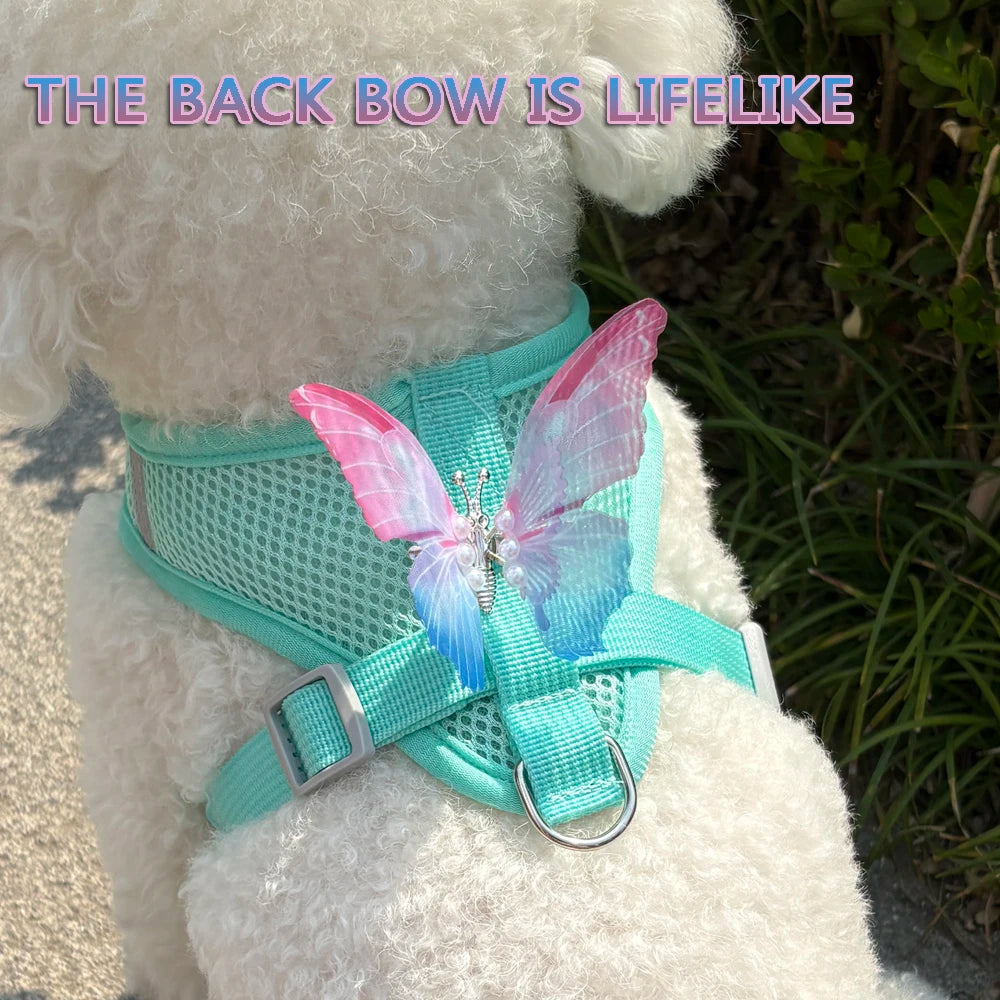 NONECN Breathable Cat Harness Set Butterfly Leash Bundle