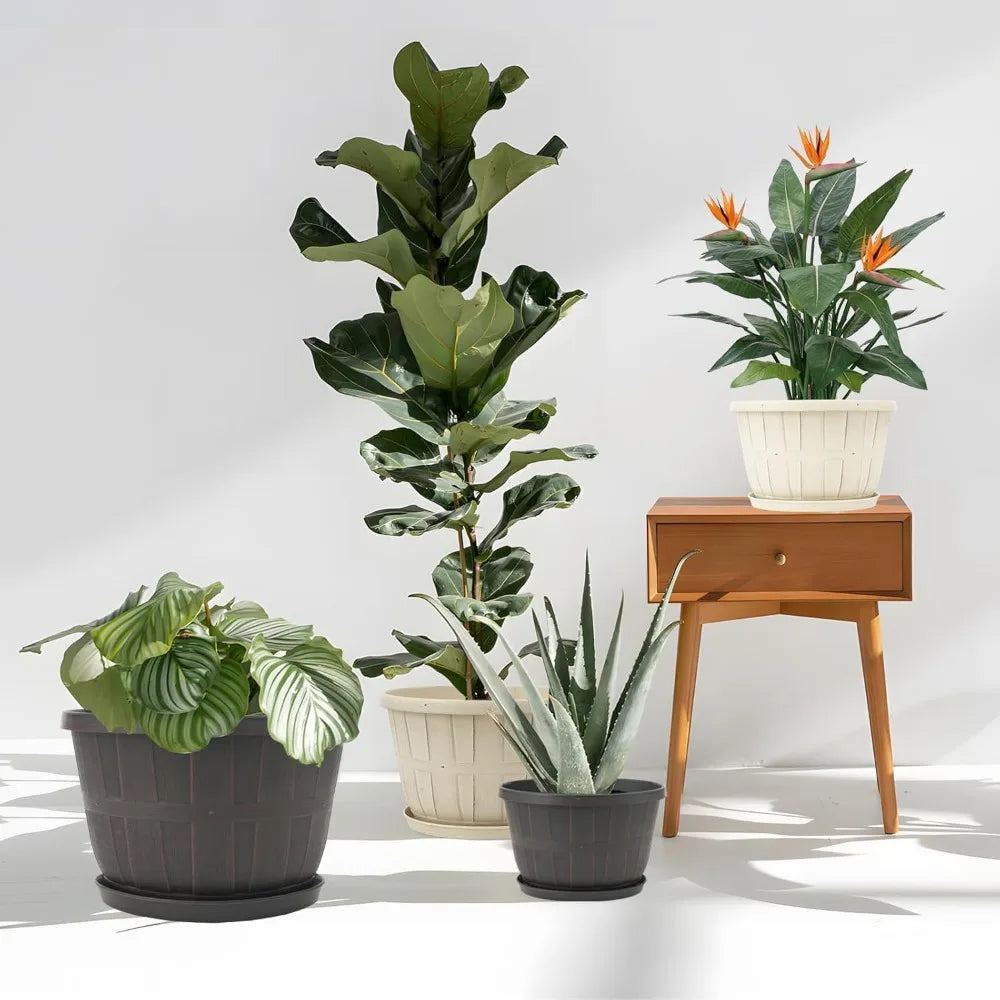 NBVCX Plastic Flower Pots With Drainage Holes And Saucers