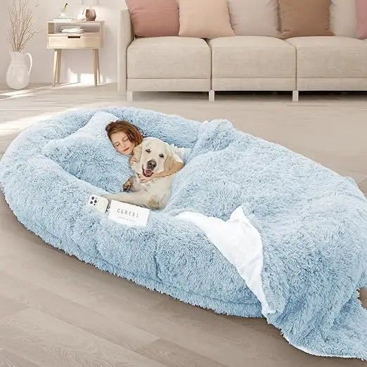 Memory Foam Dog Bed With Pillow And Strap