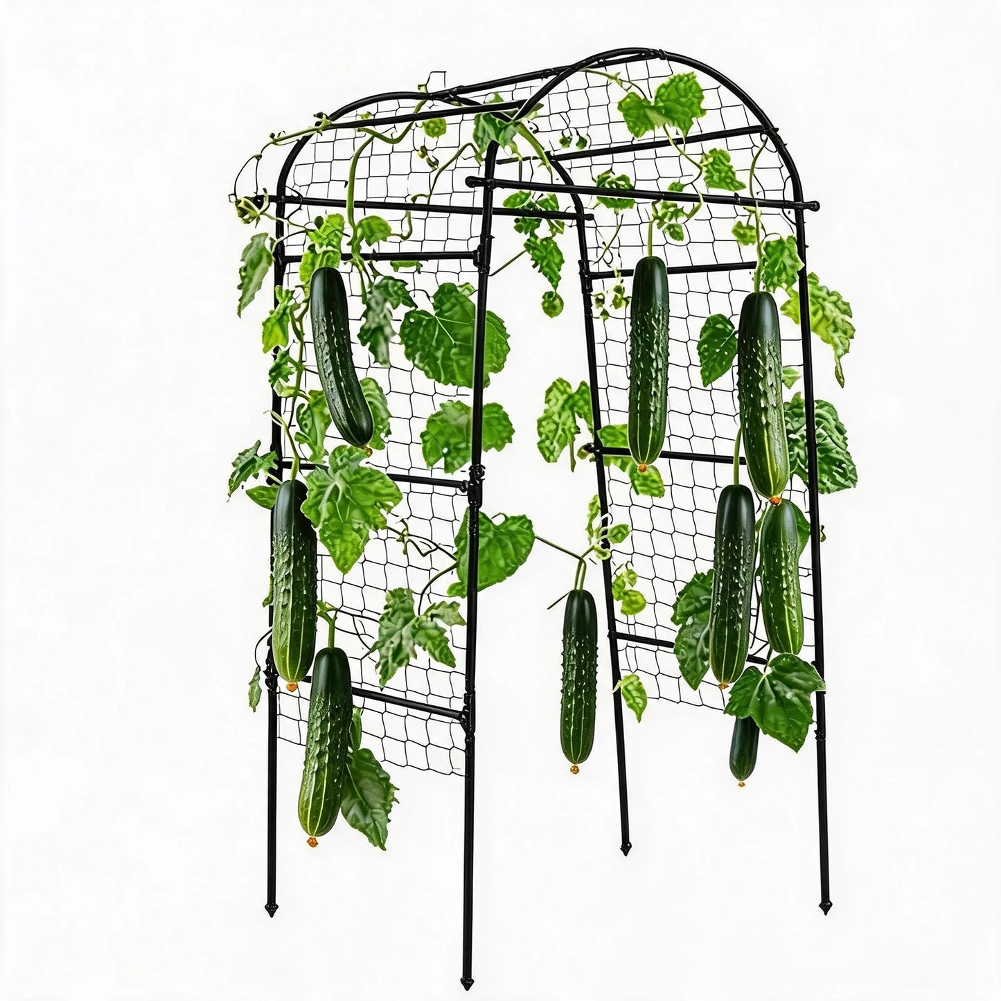 HiMISS Garden Arch Trellis Heavy Duty Plant Support