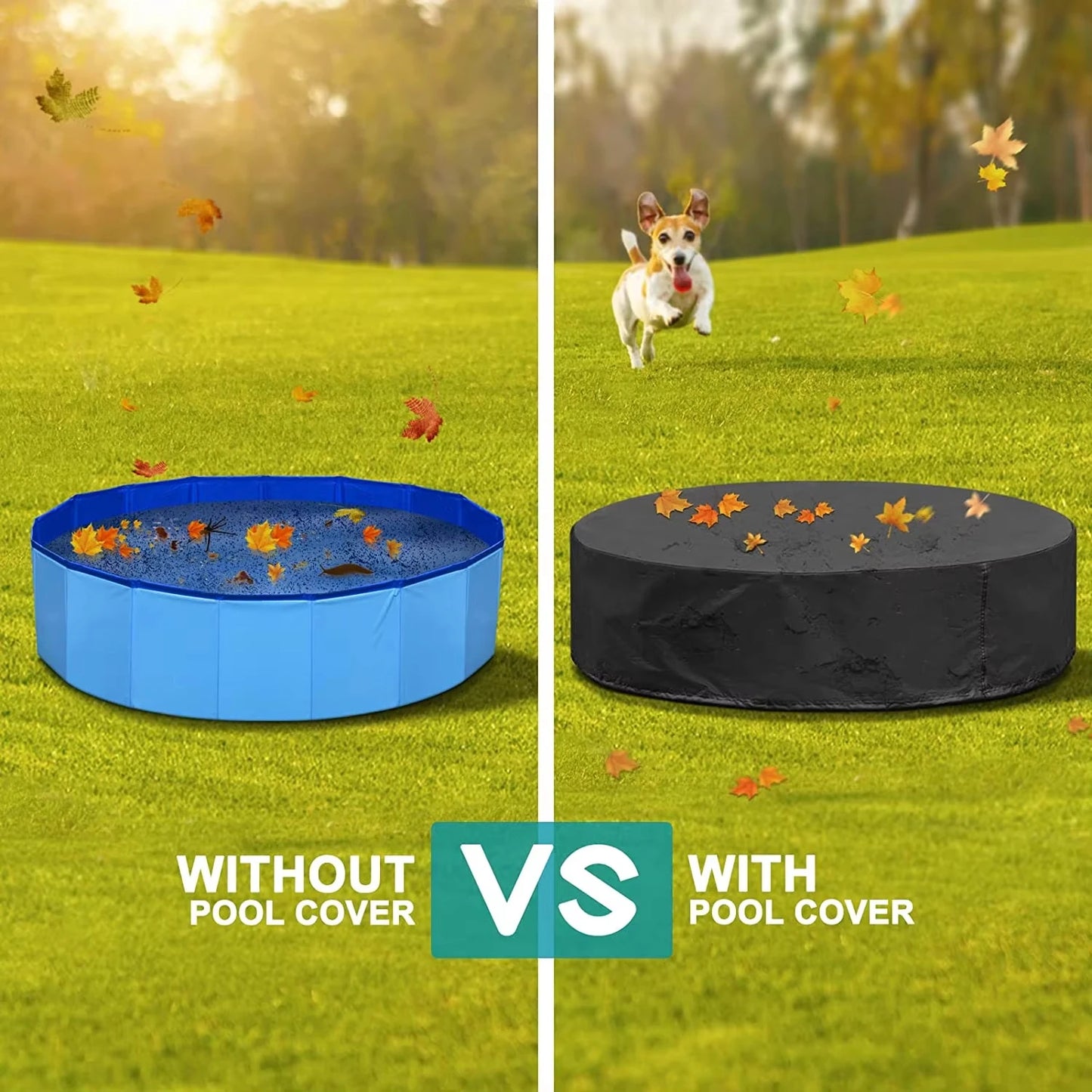 Portable Dog Pool And Bath Tub For Dogs Scratch Resistant