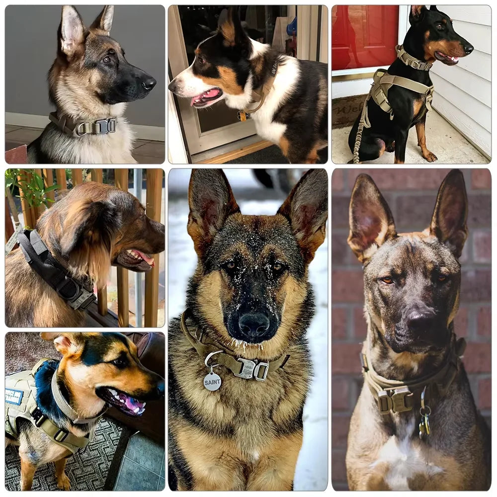 Adjustable Dog Training Collar Tactical Leash Set With Control Handle