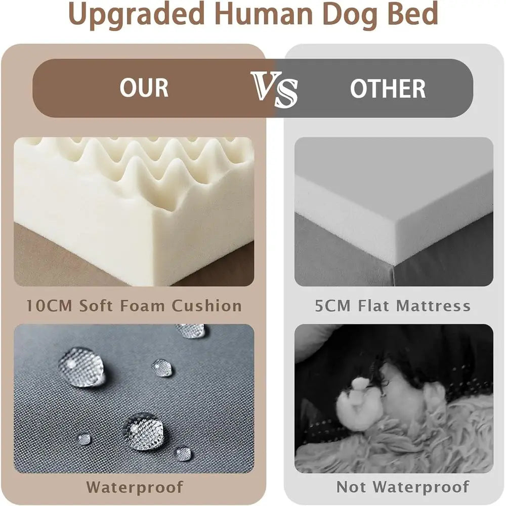 Memory Foam Dog Bed With Pillow And Strap