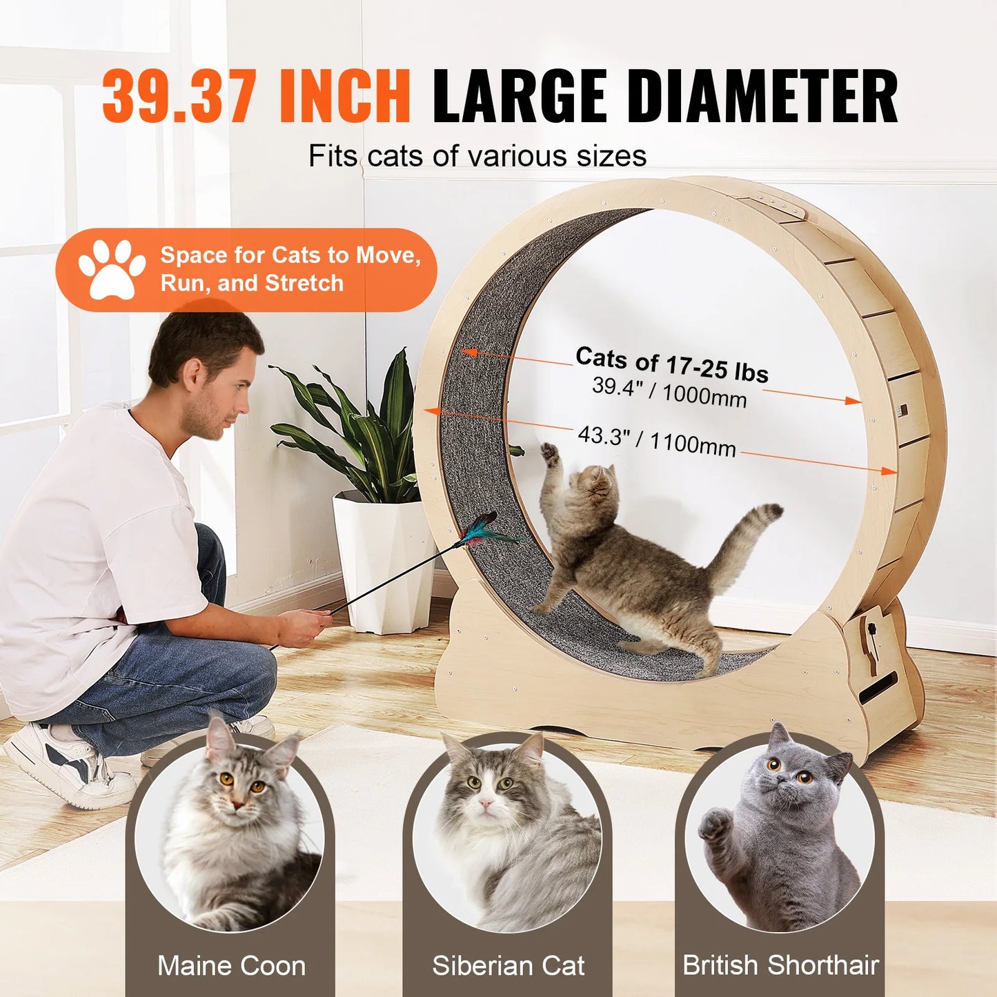 Wooden Cat Exercise Wheel For Indoor Cats Detachable Carpet