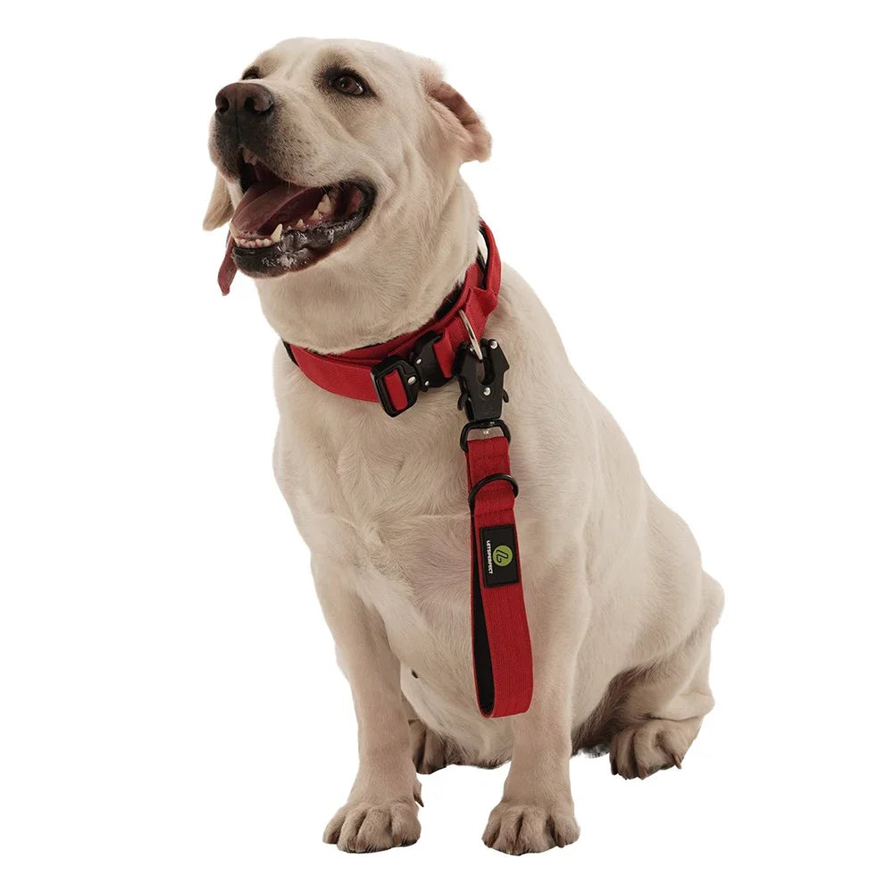 Short Traffic Dog Leash With Padded Handle And Reflective Nylon