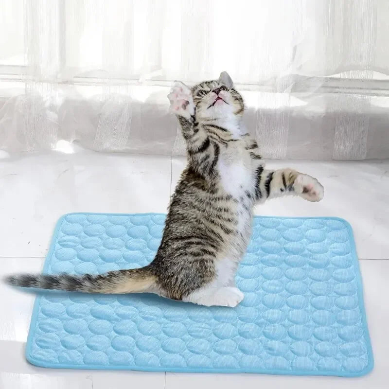 Pet Ice Cooling Mat For Cats And Small Dogs Comfort