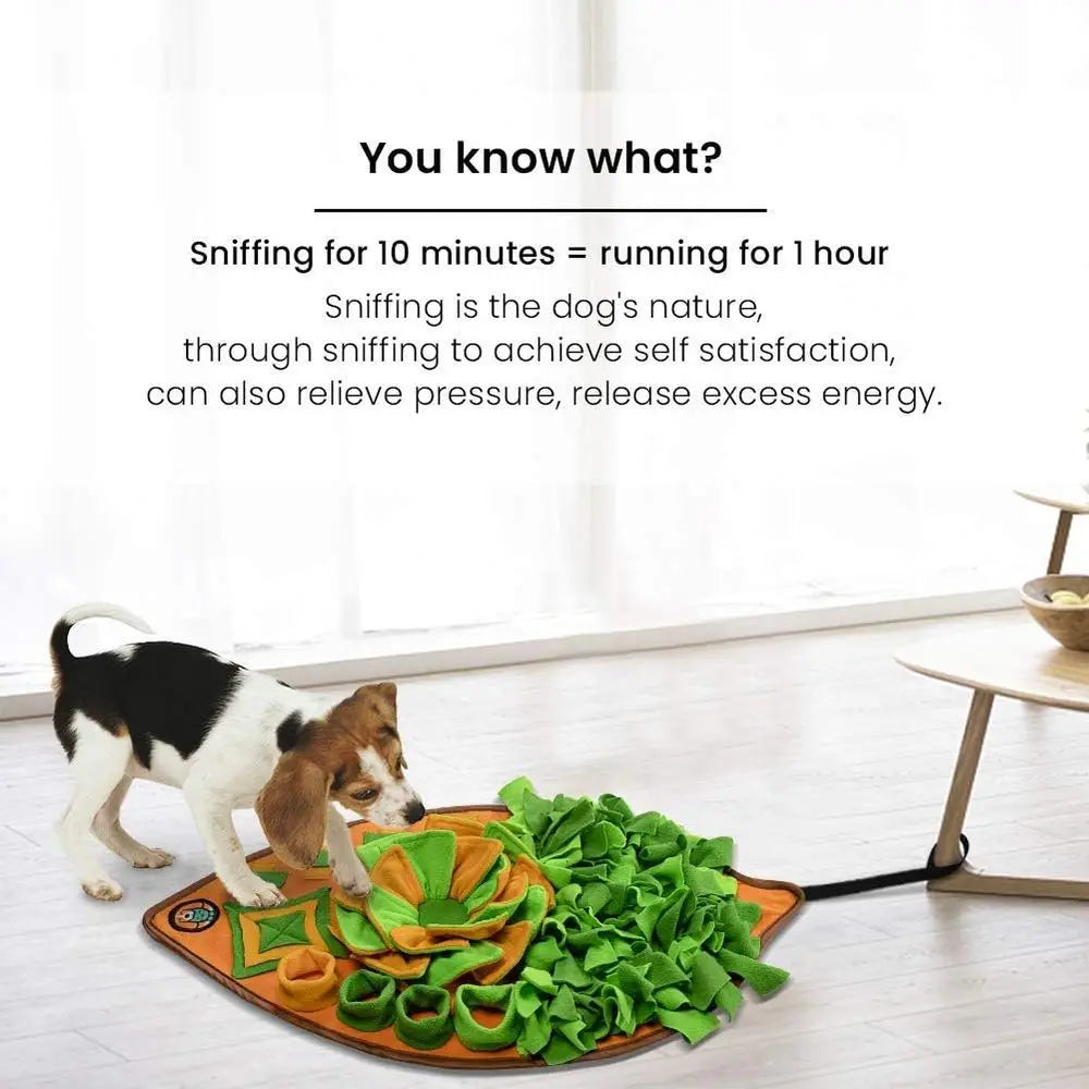Snule Nosework Mat For Dogs And Cats Interactive Feeding Puzzle Toy