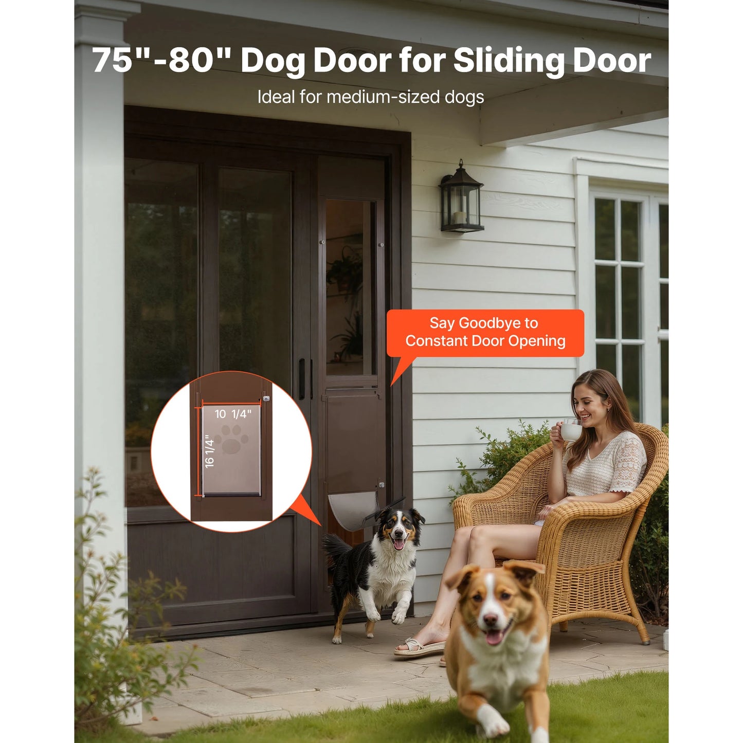 SucceBuy Sliding Glass Dog Door Rotating Hinges Lock