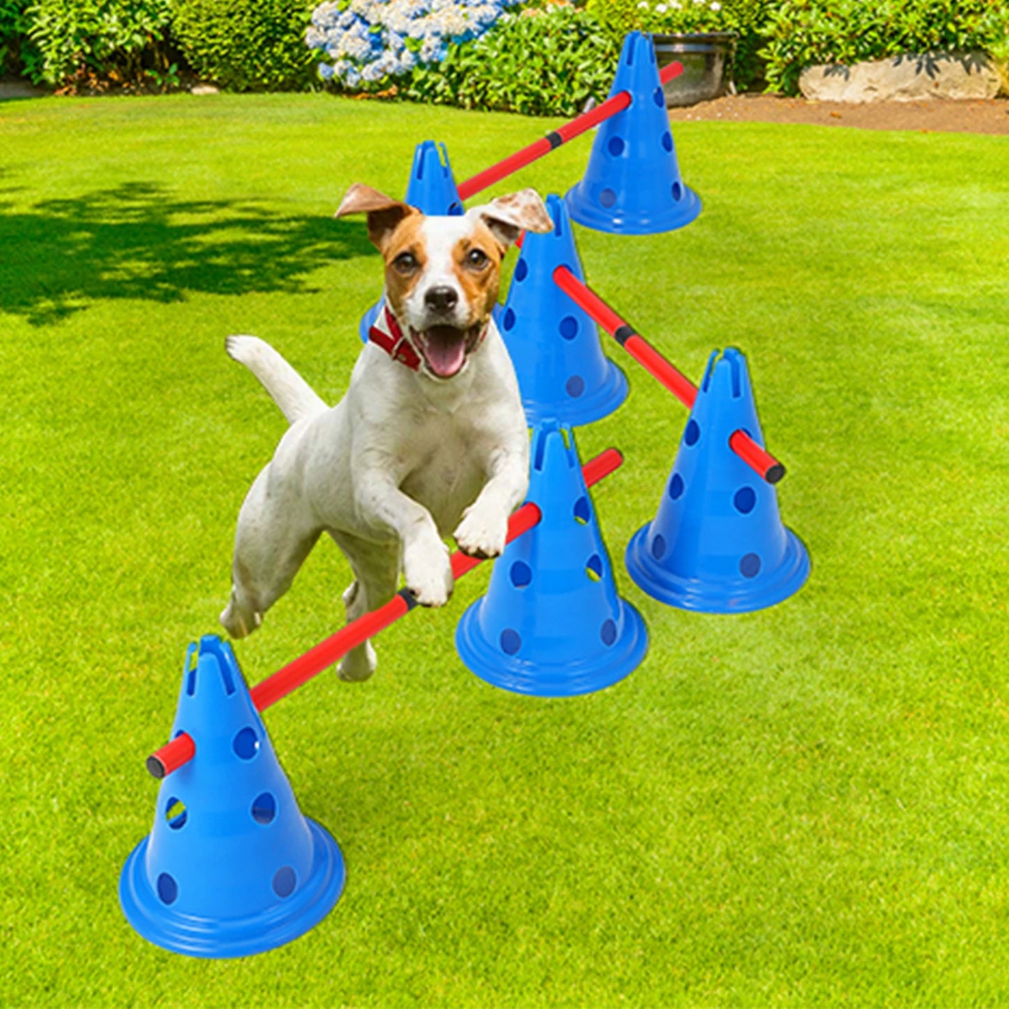 HiMISS Dog Agility Hurdle Cone Set With Cones And Rods