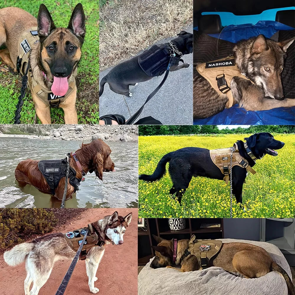 Military Tactical Dog Harness Vest Set For Malinois Training