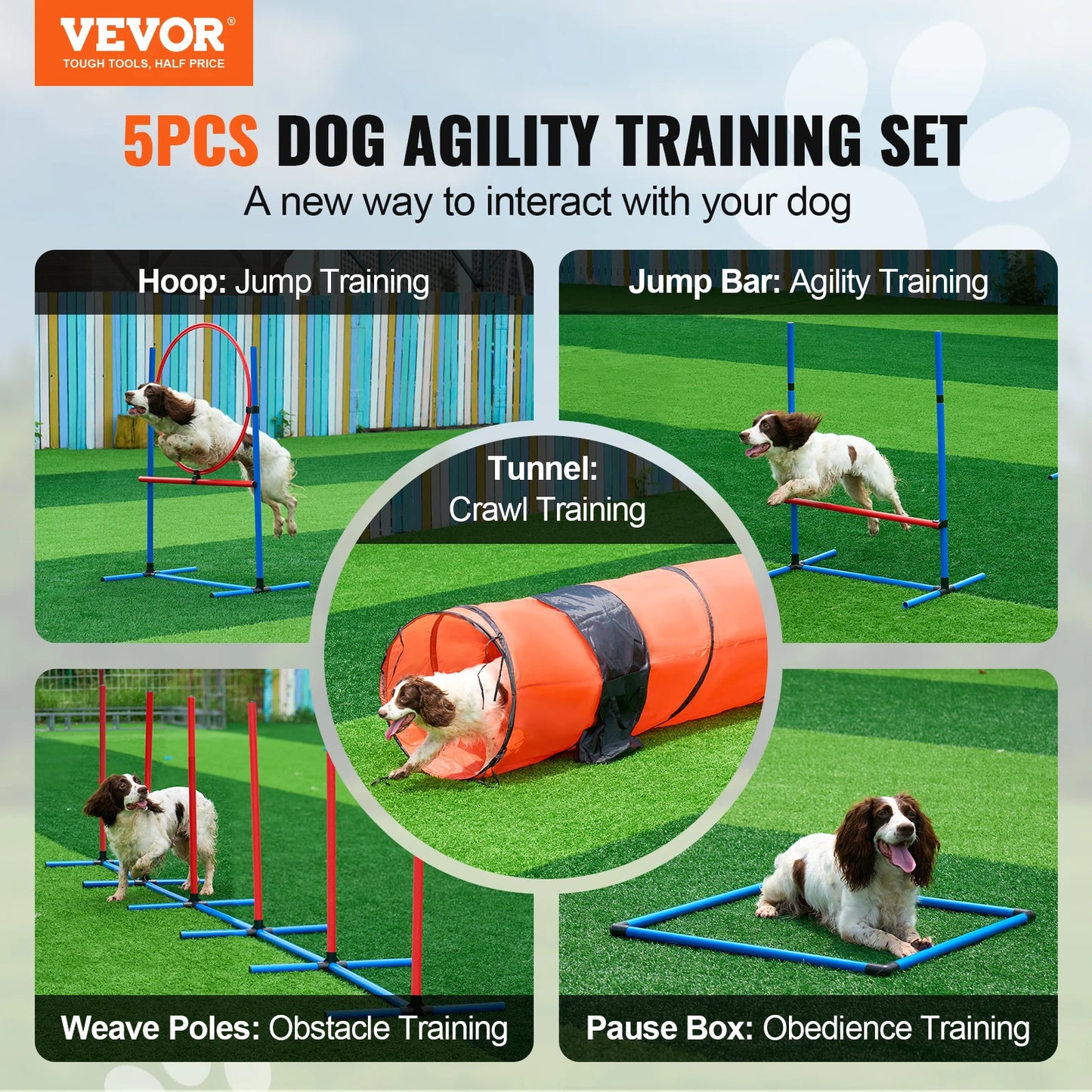 Dog Agility Training Equipment 5 Piece Kit With Adjustable Hurdles