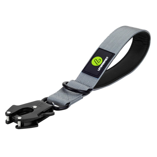 Short Traffic Dog Leash With Padded Handle And Reflective Nylon