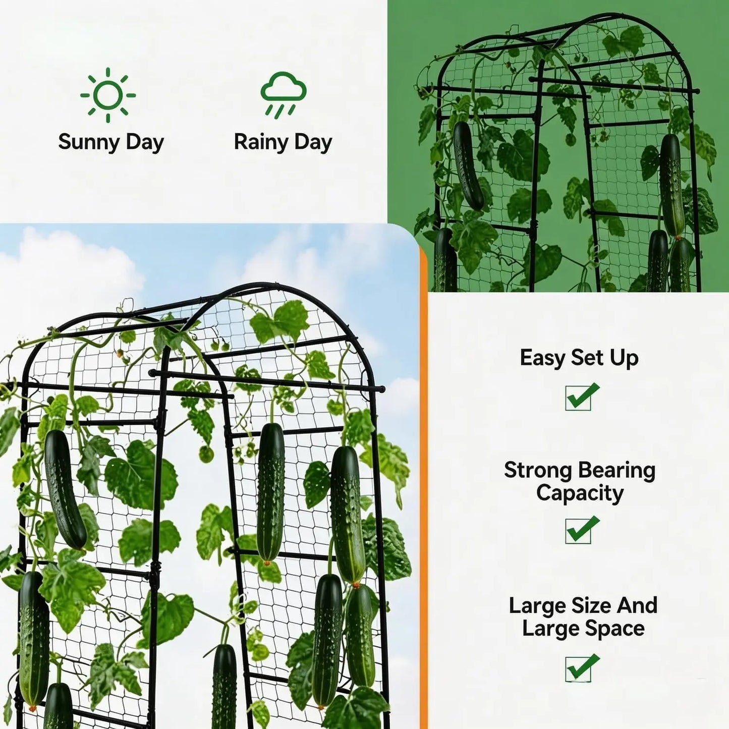 HiMISS Garden Arch Trellis Heavy Duty Plant Support